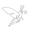 Line art one line butterfly moth for decoration design. Decoration element.