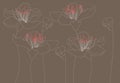 Line art outlined lily flowers with red carpels. Dark beige background Royalty Free Stock Photo