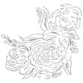 Line art peony hand drawn outline for print design. Vector isolated outline drawing. Flower pattern. Tattoo sketch. Vector peony Royalty Free Stock Photo