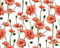 Line-art Poppies On White. Vector seamless pattern Royalty Free Stock Photo