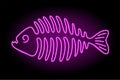 Line art with shiny pink neon fish bones