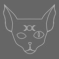 Line art of sphynx cat with moon phases symbol on its forehead