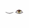 Eyes and eyelashes icon. Vector illustration.Open and close eye Royalty Free Stock Photo