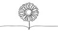 Line art sunflower flower. Continuous one single outline. Vector illustration isolated. Minimalist design handdrawn