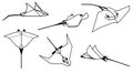 Line Art Tattoo Stingray Fish Set, Abstract Minimal Stingray Fish, Set of Tattoos, Stingray Outline