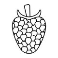 Line art vector icon raspberry fruit for apps and websites