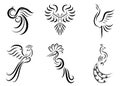 line art vector images of various beautiful birds such as pheasant peacock crane Phoenix and eagle Good use for symbol