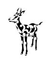 Line art vector of springbok is standing