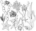 Line art vector underwater set with starfish, shells and coral reef plants. Hand painted laminaria, corals and shell Royalty Free Stock Photo