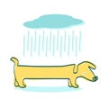 Line art yellow Dachshund dog in the rain