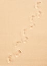Line a bare footprints meandering across the frame Royalty Free Stock Photo