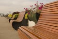 Line of the benches and plants