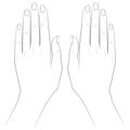 Line Bones hand. Palm and fingers with nails. Vector image on white background