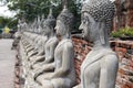 Line of buddha images among the ancient temples of ayuthaya in thailand