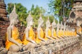 Line of buddha statue Royalty Free Stock Photo