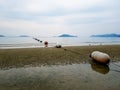 Line of buoys in the sea shore. Royalty Free Stock Photo