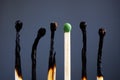 Line of burnt matches and one brand new. Individuality, leadership, burnout at work and energy Royalty Free Stock Photo