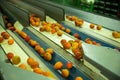 Line of calibrating and packaging fruits