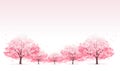 Line of cherry blossom tree background Royalty Free Stock Photo