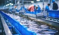 A Line of Colorful Fish on a Moving Conveyor Belt Royalty Free Stock Photo