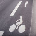 Line for cyclists. Road sign on the asphalt