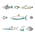 Line design vector fish icon set. Royalty Free Stock Photo