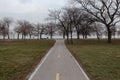 Line divided walkway toward barren trees on overcast day Royalty Free Stock Photo