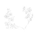 Line Drawing Botanical Wreath. Herbs and florals 08