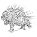 Line Drawing of a Crested Porcupine