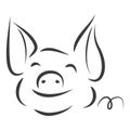 Line drawing of a cute pig, year of pig linear style and Hand drawn Vector illustrations, character design outline collection, ca Royalty Free Stock Photo