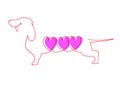 Line drawing of the Dachshund with three pink hearts. Vector illustration, template for greeting cards for Valentine`s day.