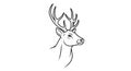 Line drawing of a deer\'s head Royalty Free Stock Photo