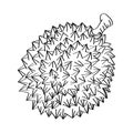 Line Drawing of Durian -Simple line Vector