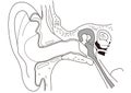 Line drawing of the internal structure of the human ear
