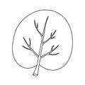Branch is bare, featuring several smaller offshoots, and the Royalty Free Stock Photo