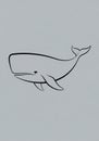 Line drawing of a sperm whale (Physeter macrocephalus) on a light gray background. Royalty Free Stock Photo
