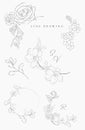 Line drawing vector floral wreaths frames branches