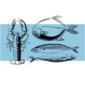 Line drawn seafood for brand logos. Vector