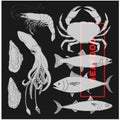 Set of drawings of different seafood. Good quality handmade. Vector