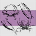 Line drawn seafood for logos. Vector