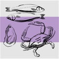 Line drawn seafood for logos. Vector