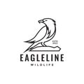 Line eagle focus logo design vector graphic symbol icon illustration creative idea Royalty Free Stock Photo