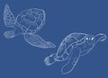 Vector set of sea turtle isolated blue background Royalty Free Stock Photo