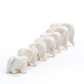 Line of Elephants Royalty Free Stock Photo