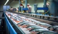 A Colorful Array of Fresh Fish on a Vibrant Conveyor Belt Royalty Free Stock Photo