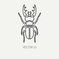 Line flat plain vector wildlife fauna icon stag beetle. Simplified retro. Cartoon style. Insect. Deer bug. Entomology Royalty Free Stock Photo