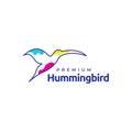 Line flying hummingbird abstract modern logo design vector graphic symbol icon illustration creative idea Royalty Free Stock Photo