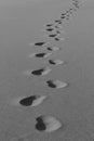 Line of footprints in the sand Royalty Free Stock Photo