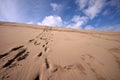 Line of footprints up a desert hill Royalty Free Stock Photo