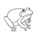 Line frog animal sitting. Outline vector illustration toad isolated on white. Image for coloring page